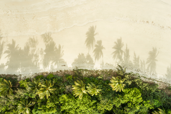 Style without borders: Bringing urban luxury to North Queensland’s wildest locations