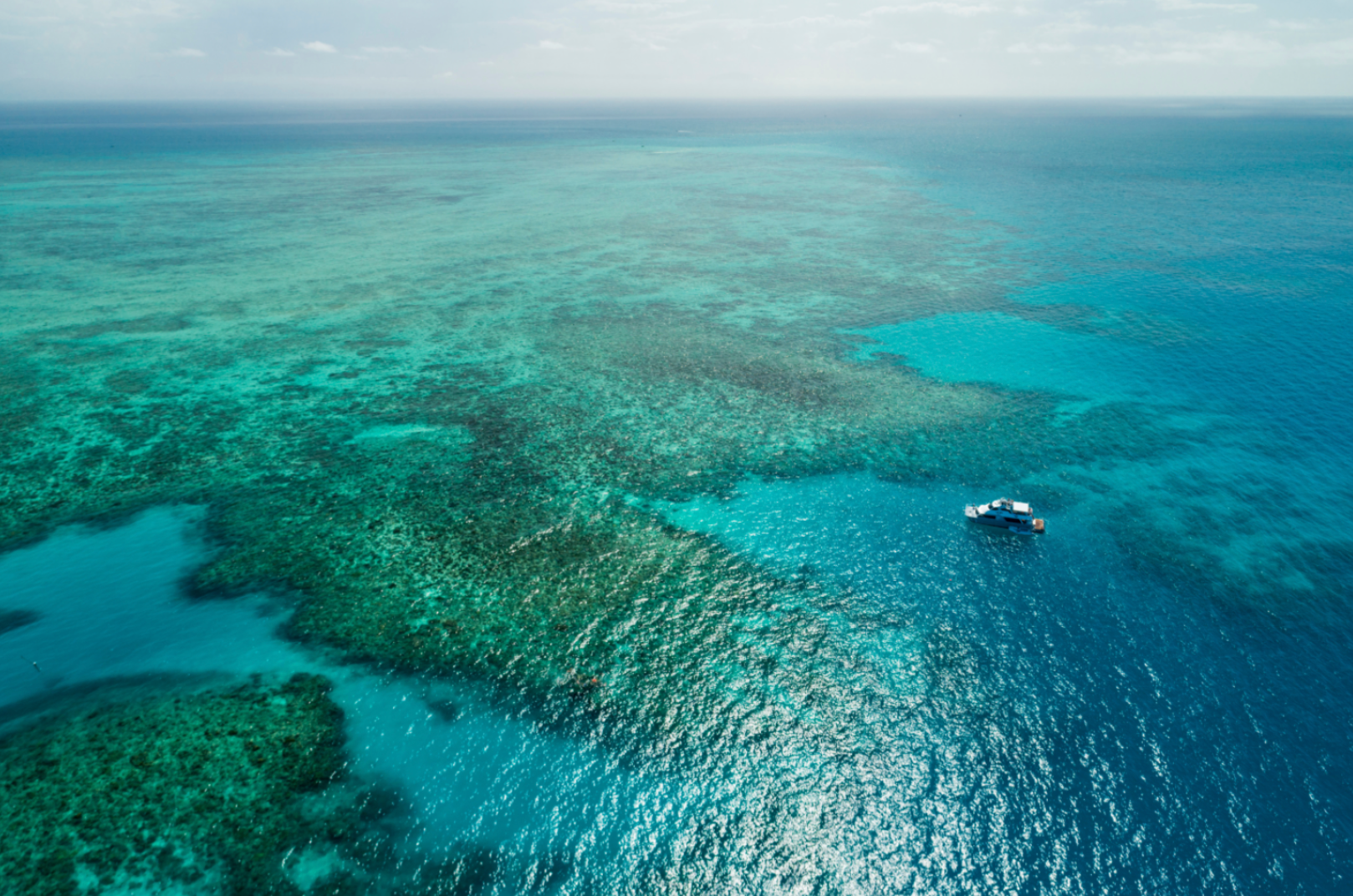 Image of Sustainable elegance: How modern events can be beautiful and better for the planet