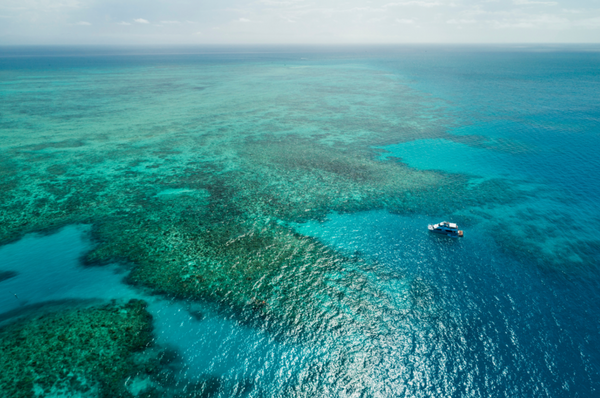 Sustainable elegance: How modern events can be beautiful and better for the planet